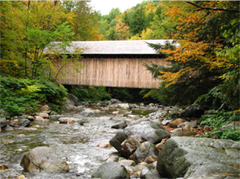 Brown Bridge, Shrewsbury, VT 