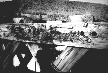 Fitches Bridge. Photo supplied by Phil
Pierce, June 10, 2001