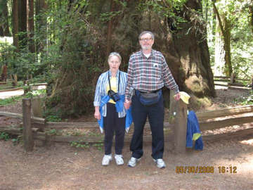 Henry Cowel State Park. Photo by Keatings, May 2008
