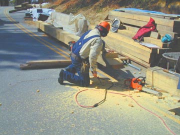 Work Continues at the Power House Bridge. Photo
by Joe Nelson, April 2, 2002