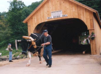 Mill Bridge opening celebration. Photo by Jackie Higgins of Tunbridge
7/22/00